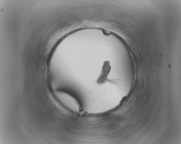 X0000062921507200602031909