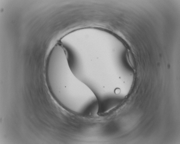 X0000062921508200602031909