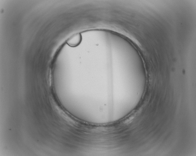 X0000062921510200602031909