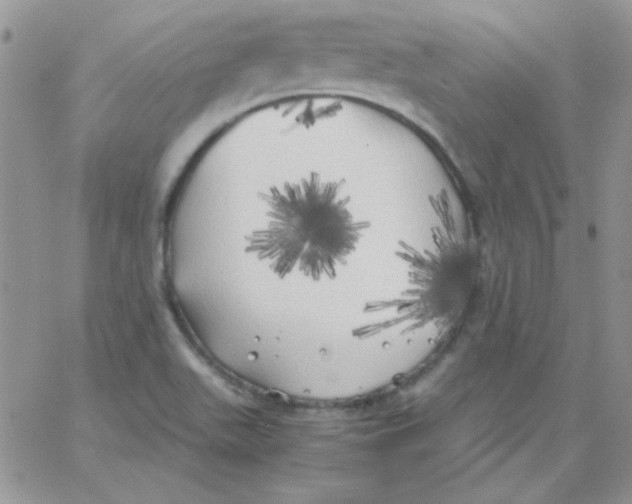 X0000062921511200602031909