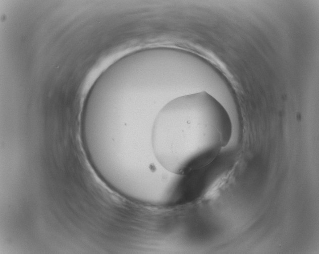 X0000062921512200602031909