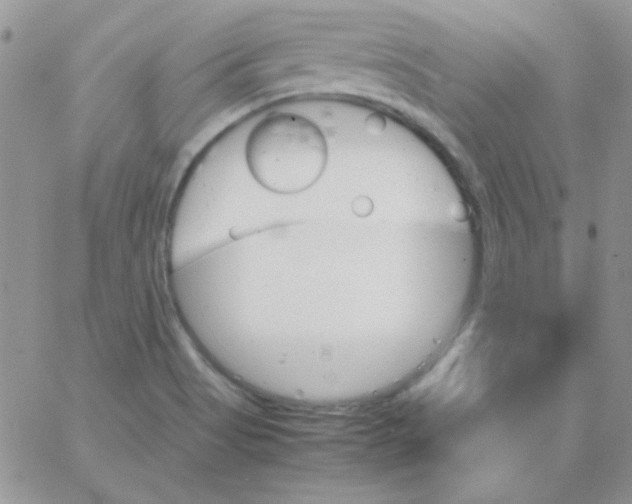 X0000062921513200602031909