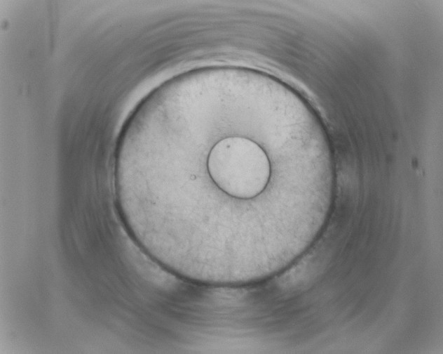 X0000062921514200602031909