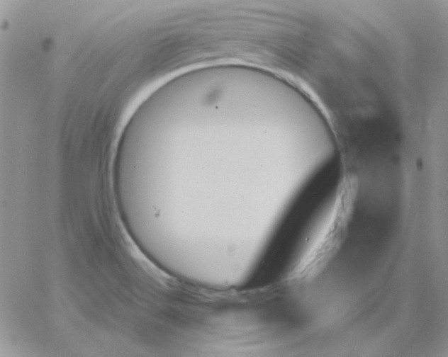 X0000062921516200602031909