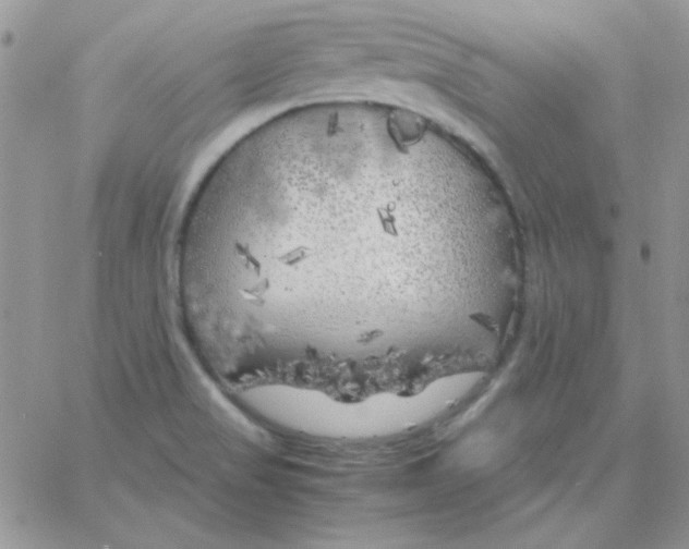 X0000062921517200602031909