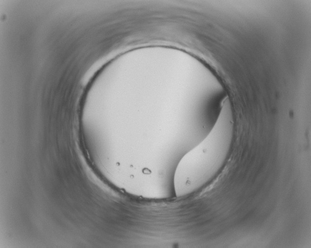 X0000062921518200602031909