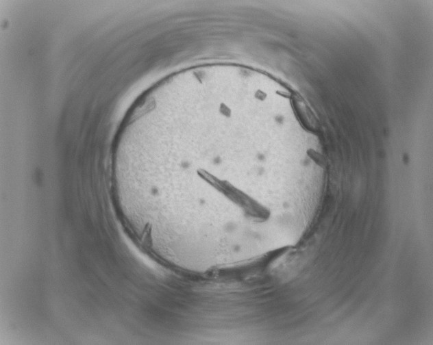 X0000062921519200602031909