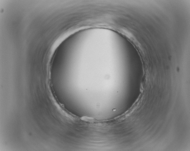 X0000062921520200602031909