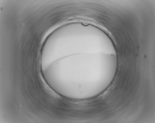 X0000062921522200602031909