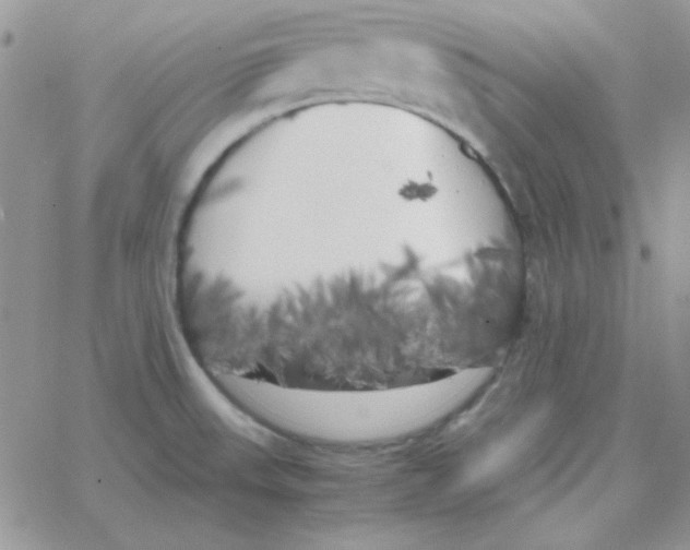 X0000062921523200602031909