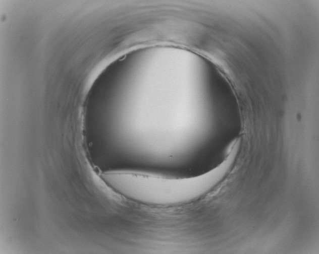 X0000062921524200602031909