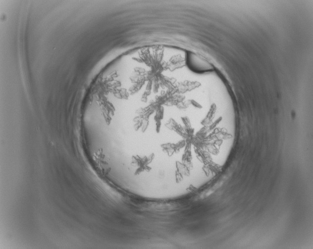 X0000062921525200602031909