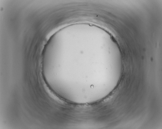 X0000062921526200602031909