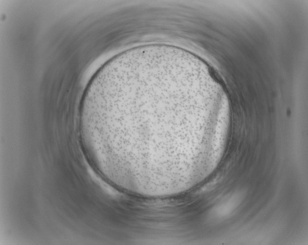 X0000062921527200602031909