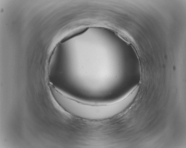 X0000062921528200602031909