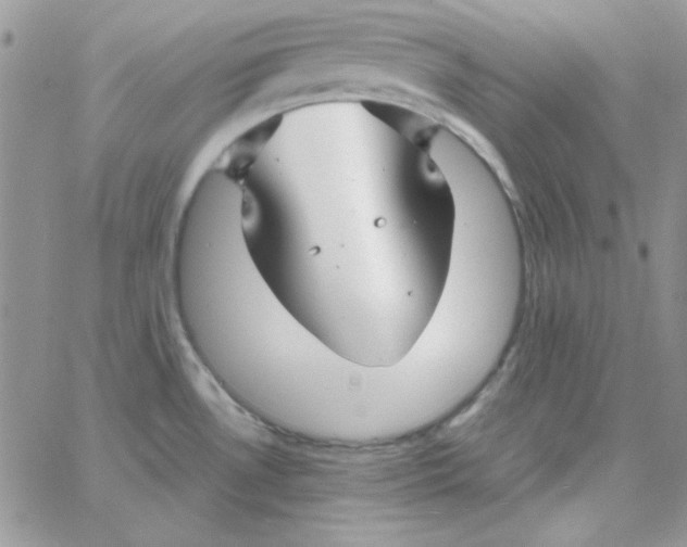 X0000062921530200602031909