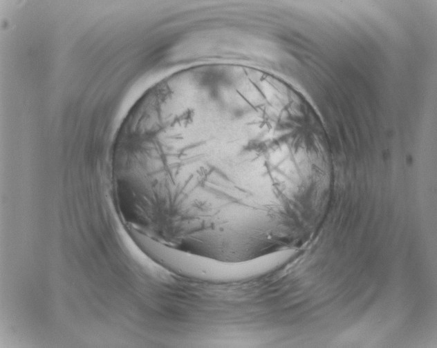 X0000062921531200602031909