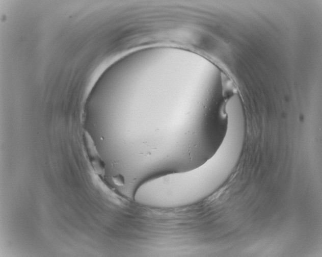 X0000062921532200602031909