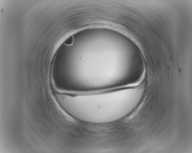 X0000062921533200602031909