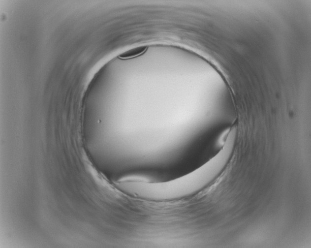 X0000062921534200602031909