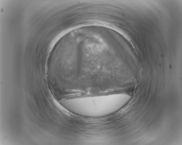 X0000062921535200602031909