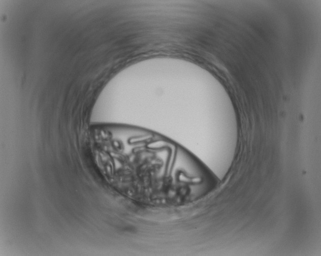 X0000062920029200602101908