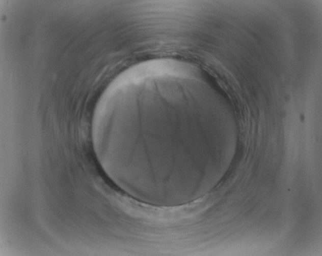 X0000062920035200602101908