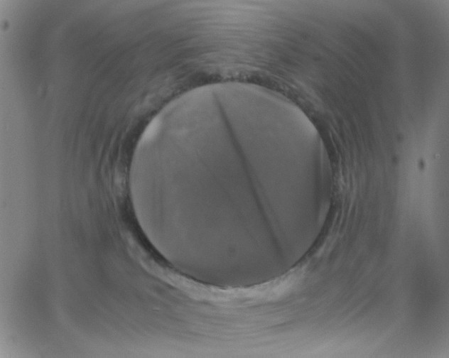 X0000062920039200602101908