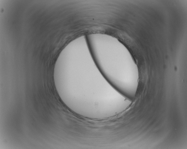 X0000062920041200602101908