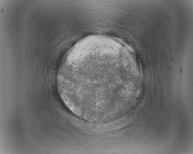 X0000062920043200602101908