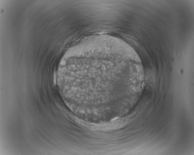 X0000062920046200602101908