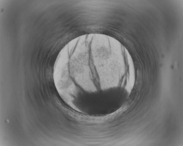 X0000062920048200602101908