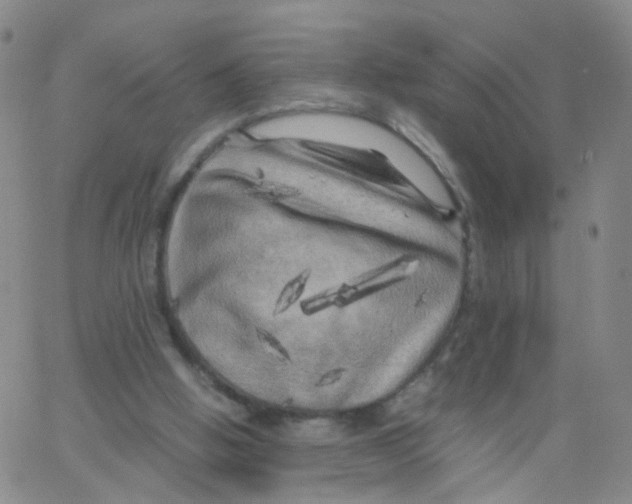 X0000062920058200602101907