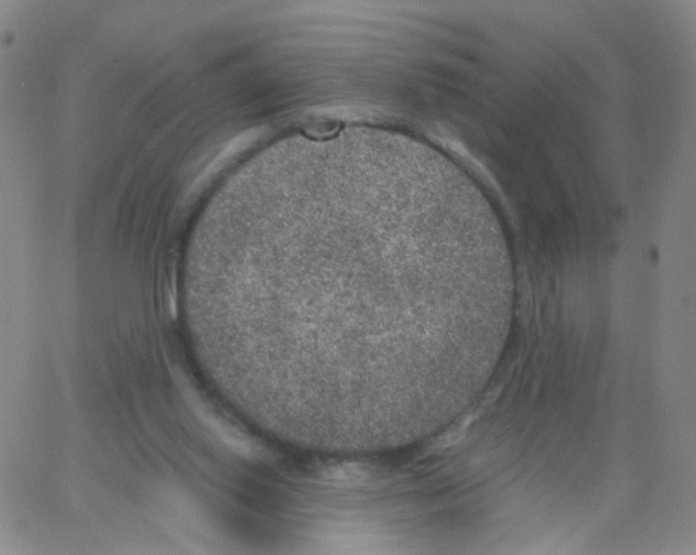 X0000062920062200602101907