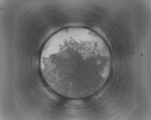 X0000062920063200602101907