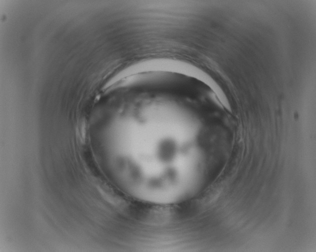 X0000062920076200602101907