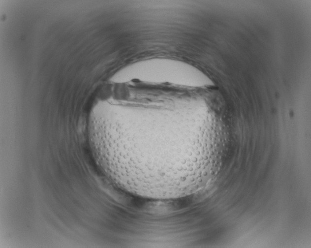 X0000062920082200602101907