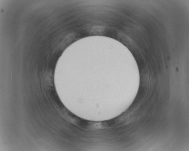 X0000062920083200602101907