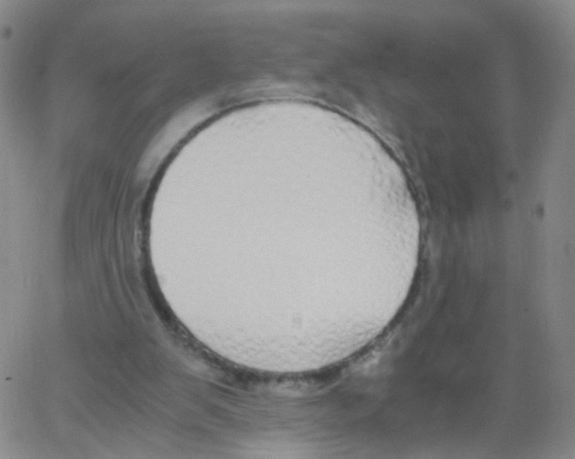 X0000062920103200602101907