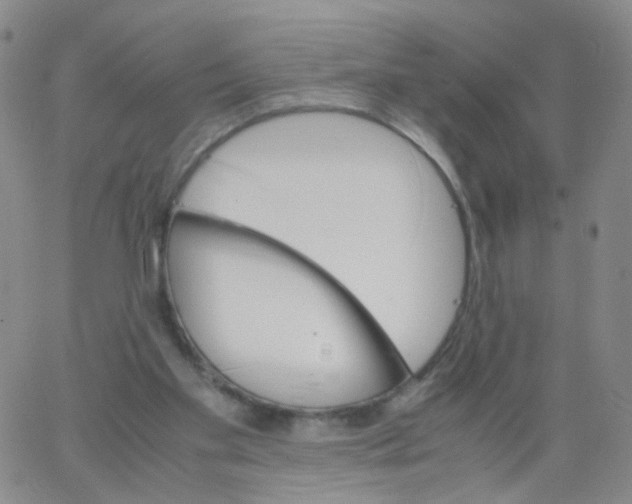 X0000062920109200602101907