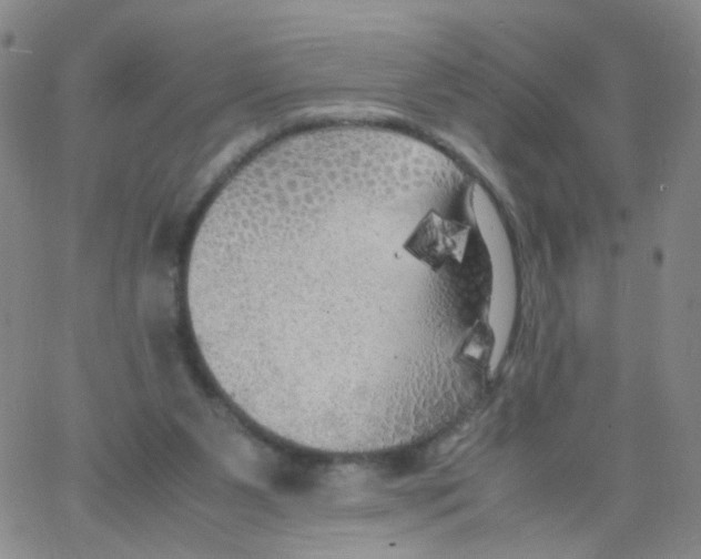 X0000062920111200602101907