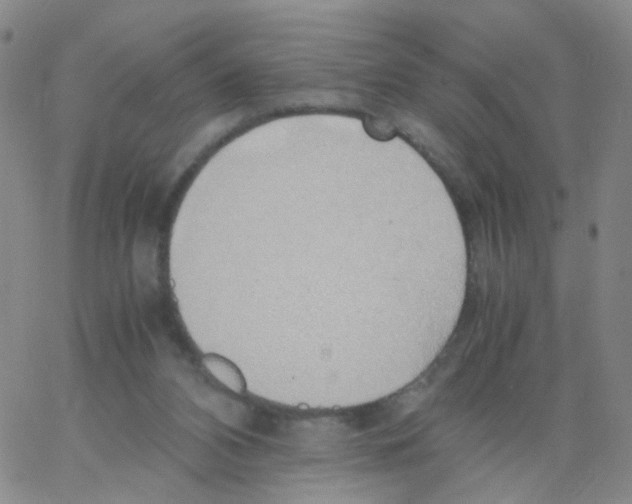 X0000062920112200602101907