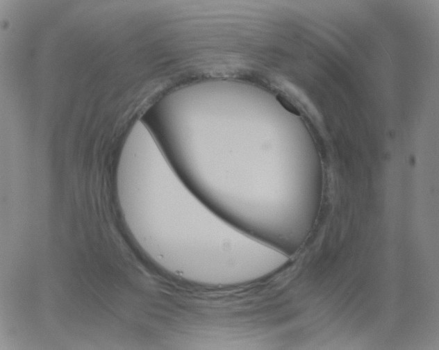 X0000062920113200602101907