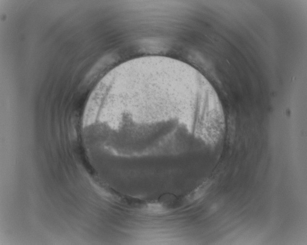 X0000062920114200602101907