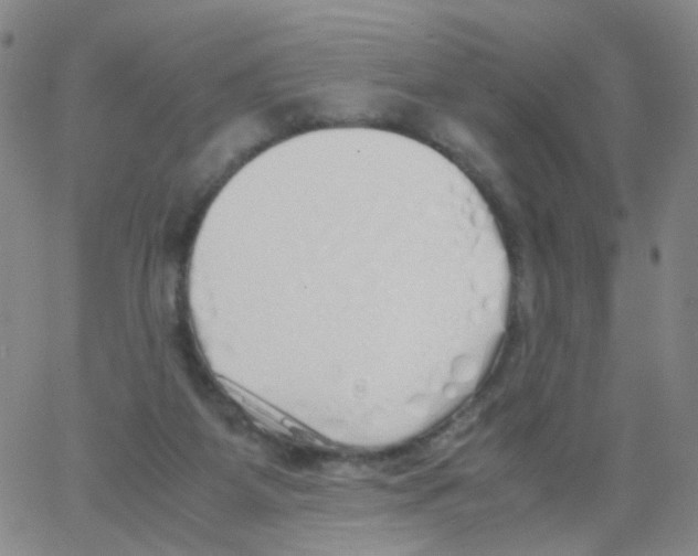 X0000062920115200602101907