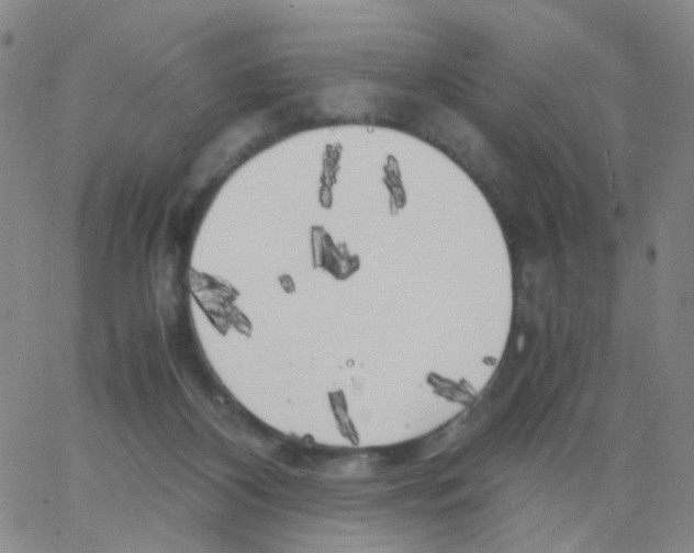X0000062920116200602101907
