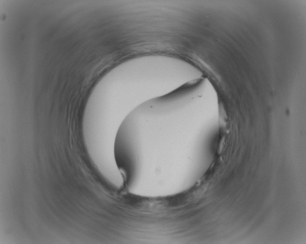X0000062920117200602101907