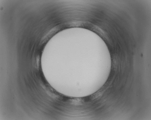 X0000062920118200602101907