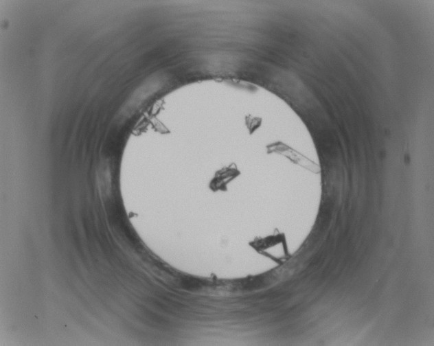 X0000062920120200602101906