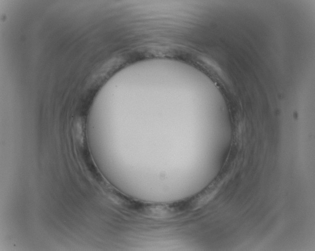 X0000062920121200602101906